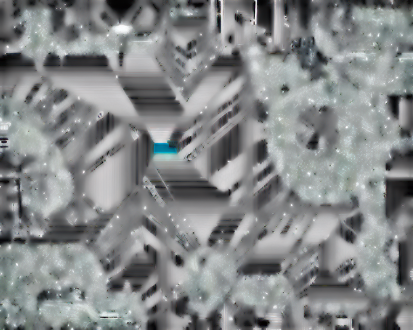 [Creamville: Whiteout]