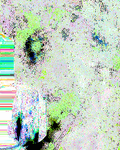 [Mr. White]