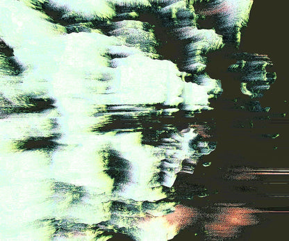 10008617